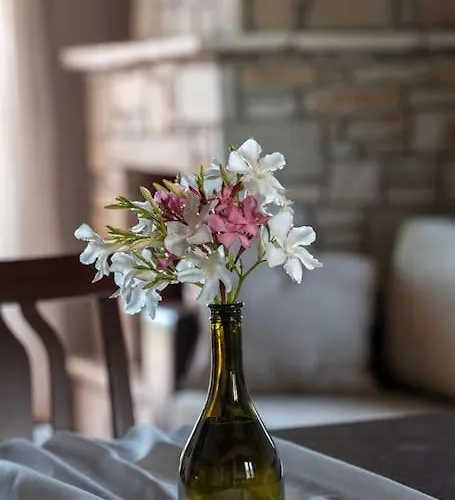 House Demetra Appartement