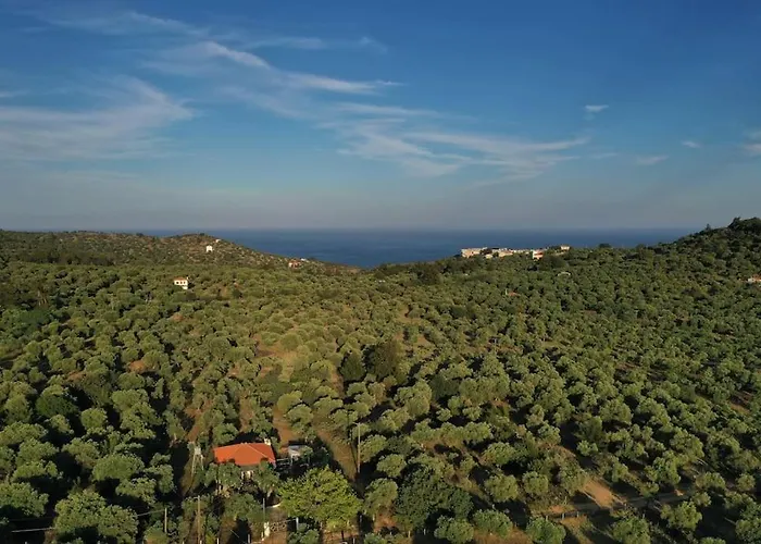 House Demetra Appartement Astris