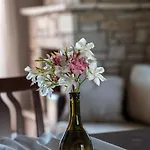 House Demetra Lejlighed