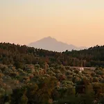 House Demetra Lejlighed