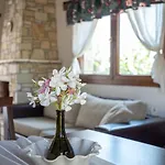 House Demetra Lejlighed *