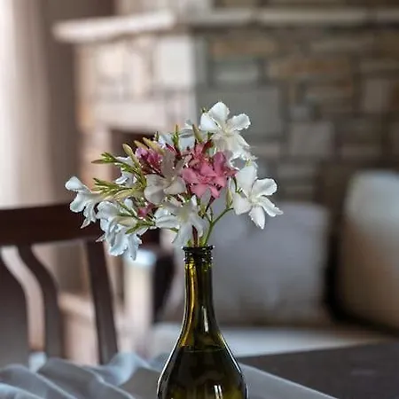 House Demetra Apartament