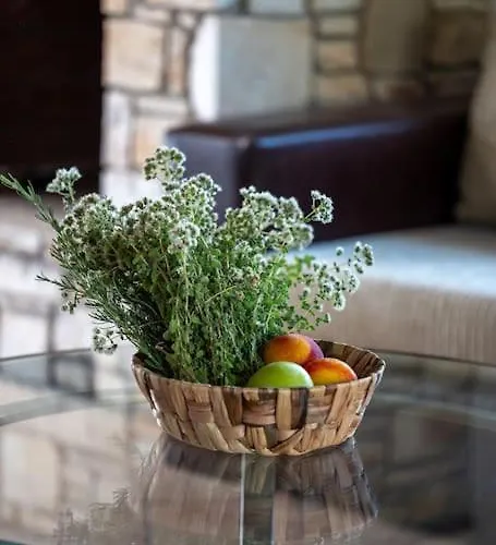 דירה House Demetra